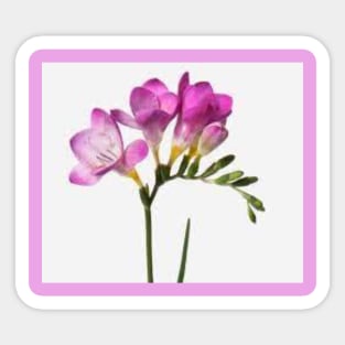 Freesias for my mother Sticker